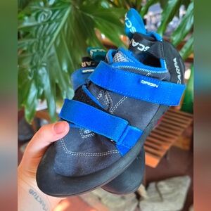 Scarpa Blue and Black Women's Sneakers